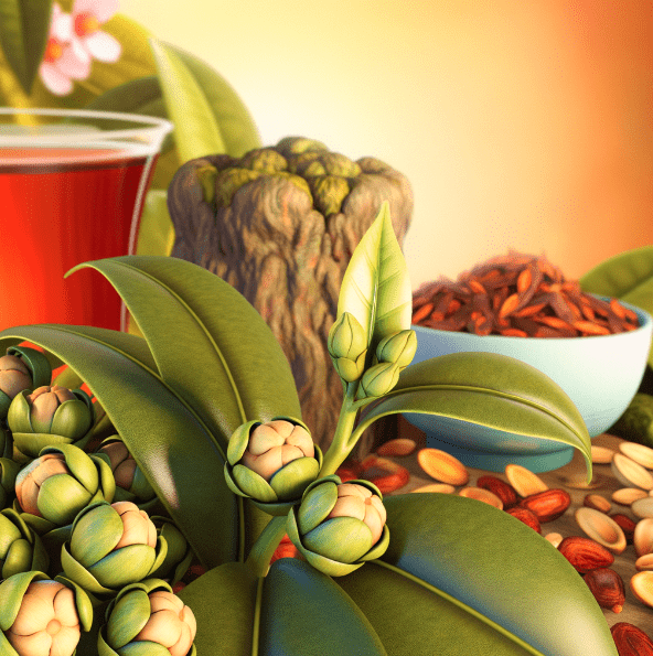 Eetbare delen van theeplanten